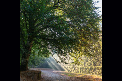 20231010-3eme_jour_pays_basque-IMG_1008FI-soirée critique 17-01-2024