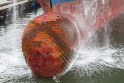 Bulbe-3230
